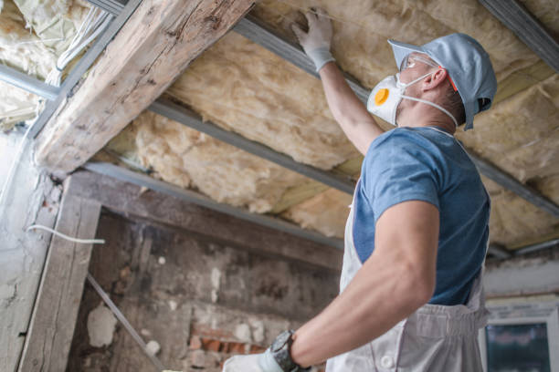 Best Insulation Maintenance and Repair in Ladson, SC